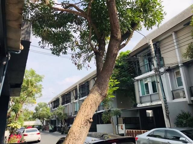ให้เช่า ทาวน์โฮม 3ชั้น3 ห้องนอน4 ห้องน้ำหมู่บ้าน อารียาเดลี่ ลาดปลาเค้า ลาดพร้าว