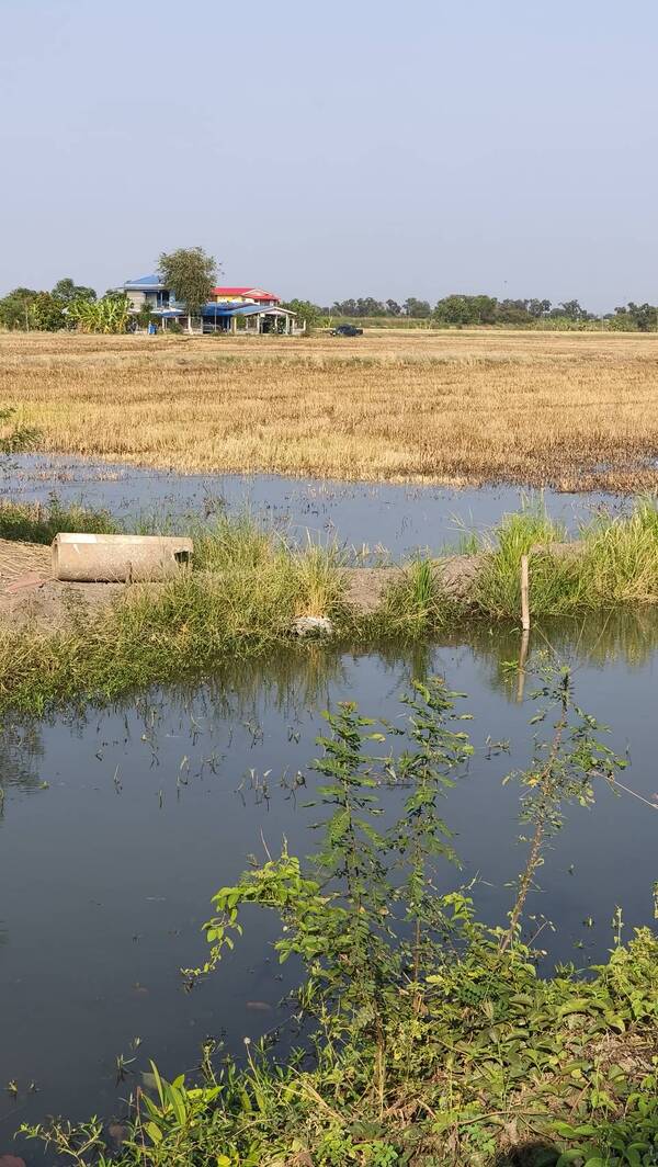 ที่ดินเปล่า เหมาะสำหรับทำที่พักอาศัย ลาดหลุมแก้ว จ. ประทุมธานี