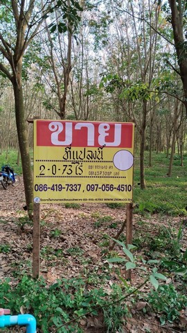 ขายที่ดินบางสะพานน้อย 9-3-70 ไร่ ที่สวยติดถนน  ใกล้ทะเลและแหล่งท่องเที่ยว   ประจวบ  ZB050