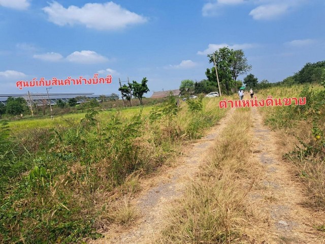 ขายที่ดิน ใน คลองหก, คลองหลวง  ต.คลองหก อ.คลองหลวง จ.ปทุมธานี     