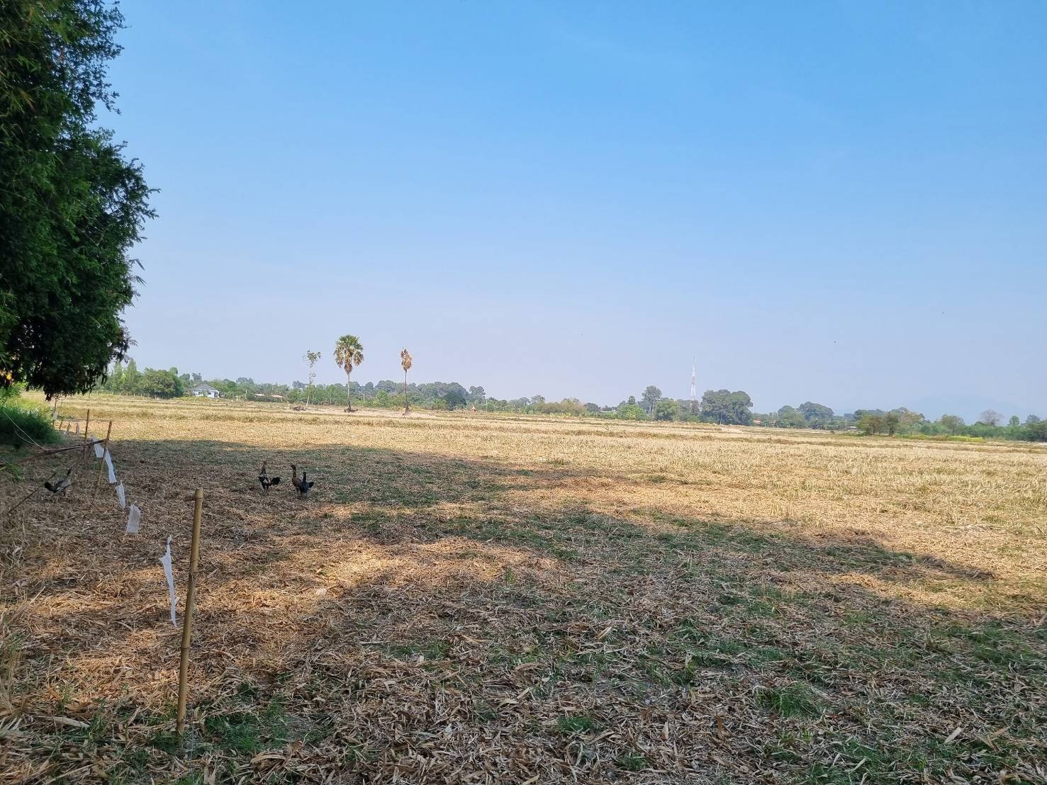 ขายด่วนที่ดิน เนื้อที่ 13 ไร่ 3 งาน ตำบลบ้านนา อำเภอบ้านนา จังหวัดนครนายก 